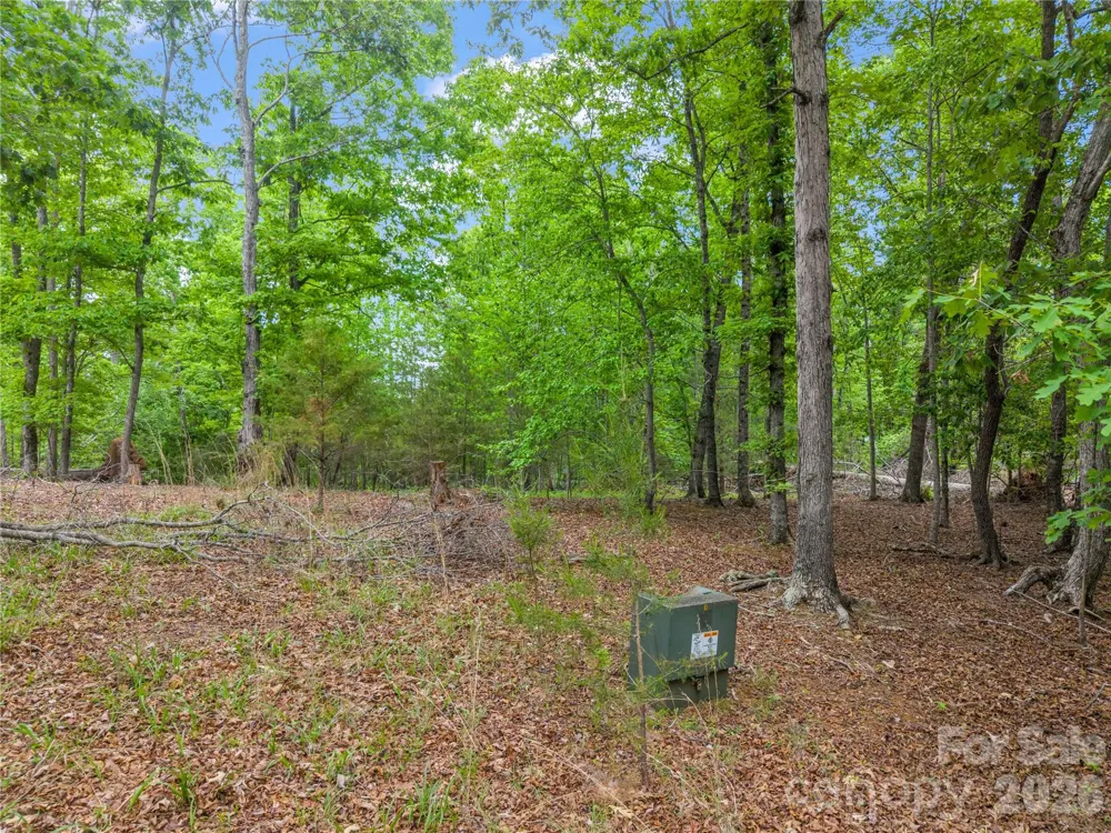 0 Wilderness Ridge Rutherfordton, NC 28139