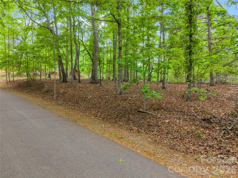 0 Wilderness Ridge Rutherfordton, NC 28139
