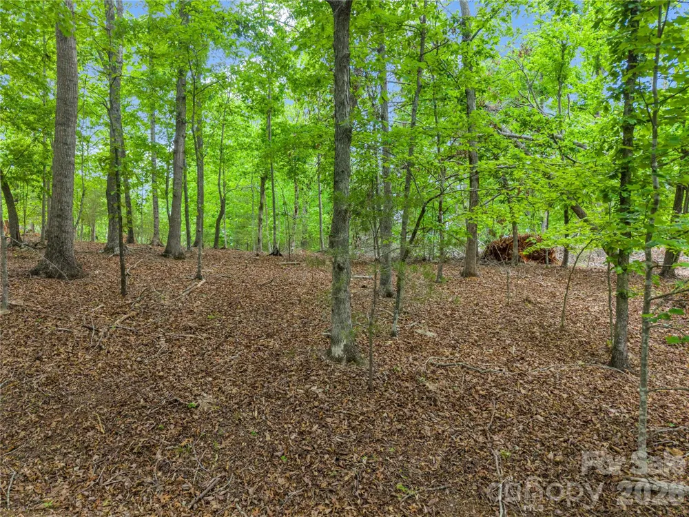 0 Wilderness Ridge Rutherfordton, NC 28139