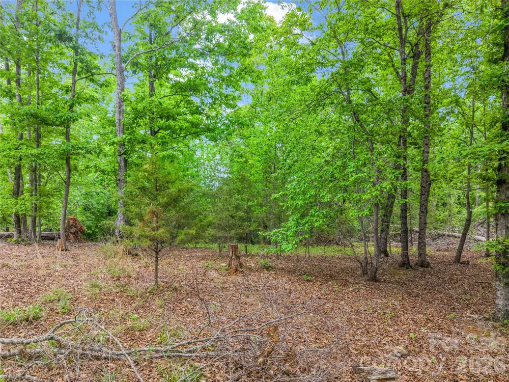 0 Wilderness Ridge Rutherfordton, NC 28139