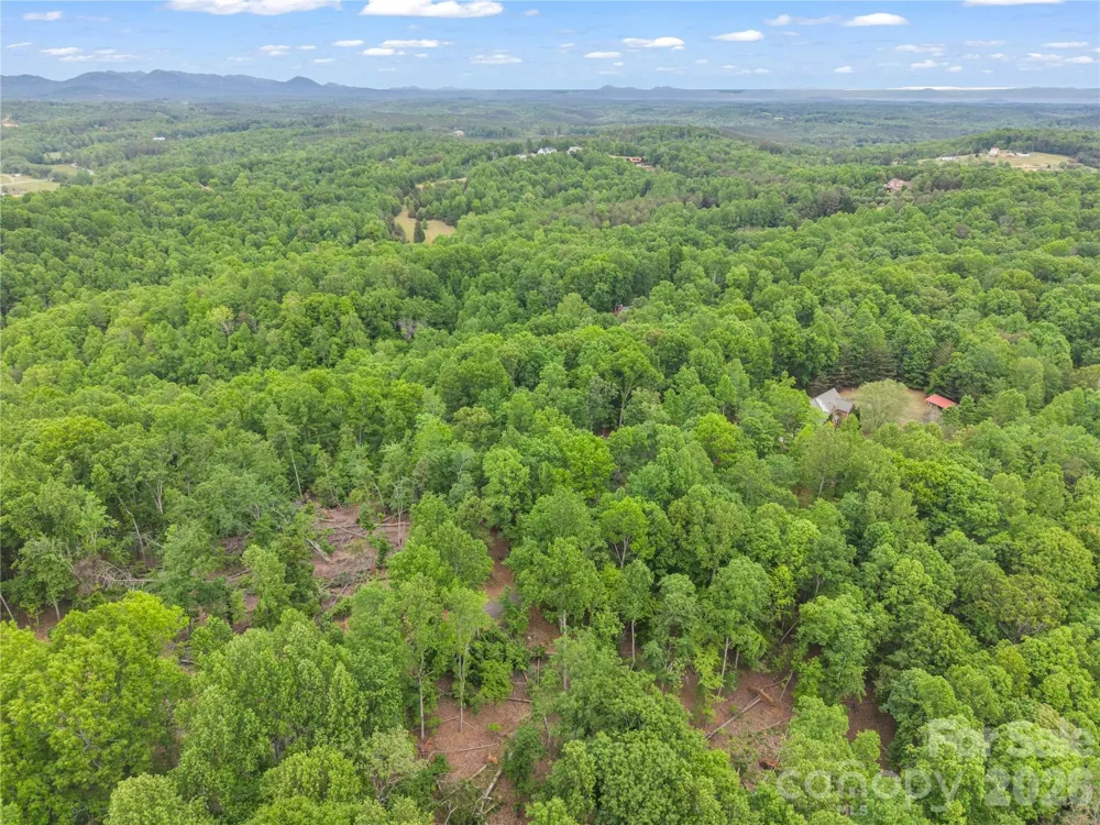 0 Wilderness Ridge Rutherfordton, NC 28139