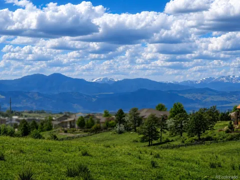 Forest Rim Road