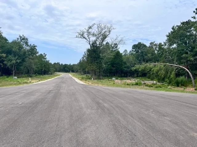 High View Dr E Fairfield, TX 75840