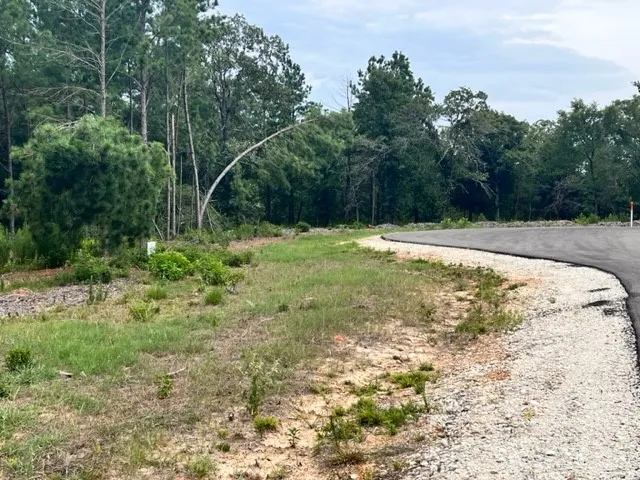 High View Dr E Fairfield, TX 75840