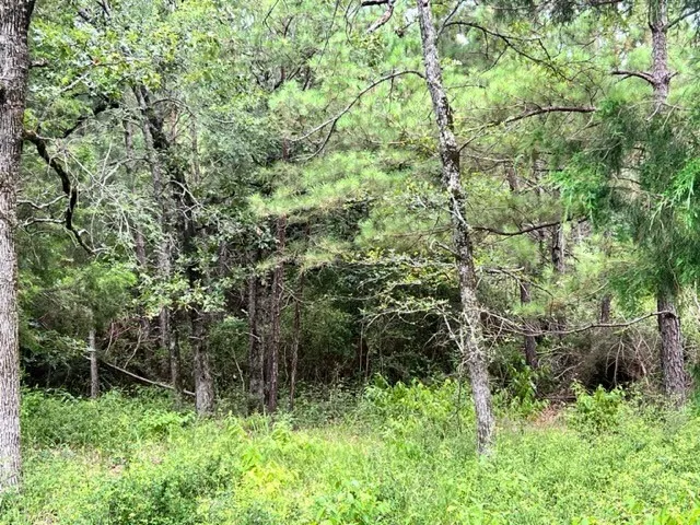 High View Dr E Fairfield, TX 75840