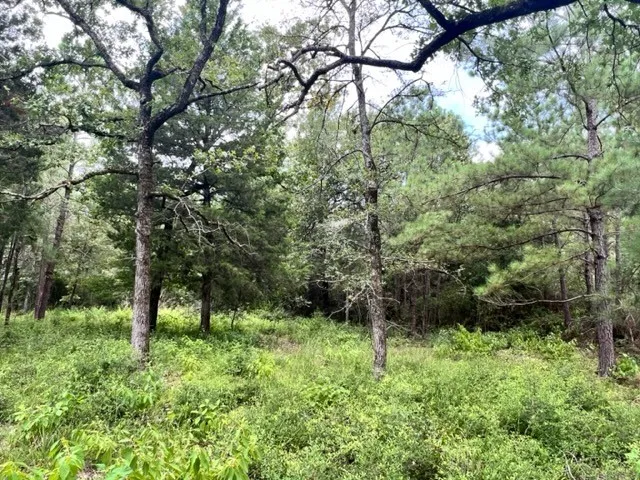 High View Dr E Fairfield, TX 75840