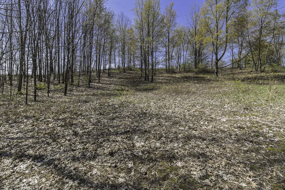 16 Campbell Lake Drive Parma, MI 49269