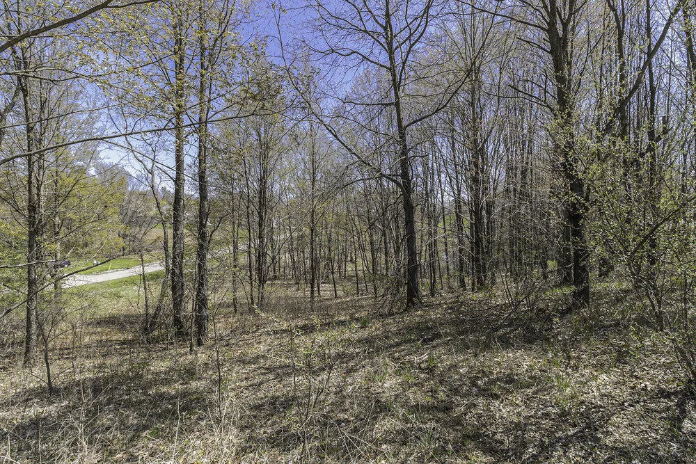 16 Campbell Lake Drive Parma, MI 49269