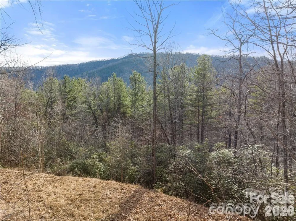 28 Trillium Lane #C-1 Black Mountain, NC 28711