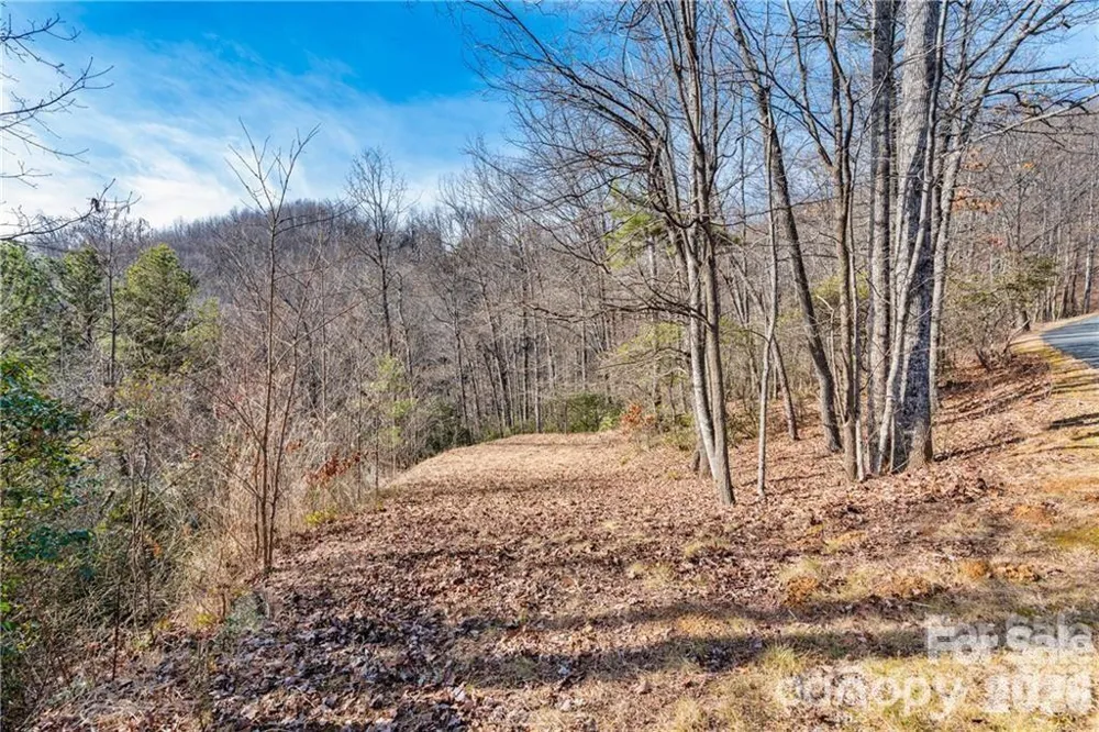 28 Trillium Lane #C-1 Black Mountain, NC 28711