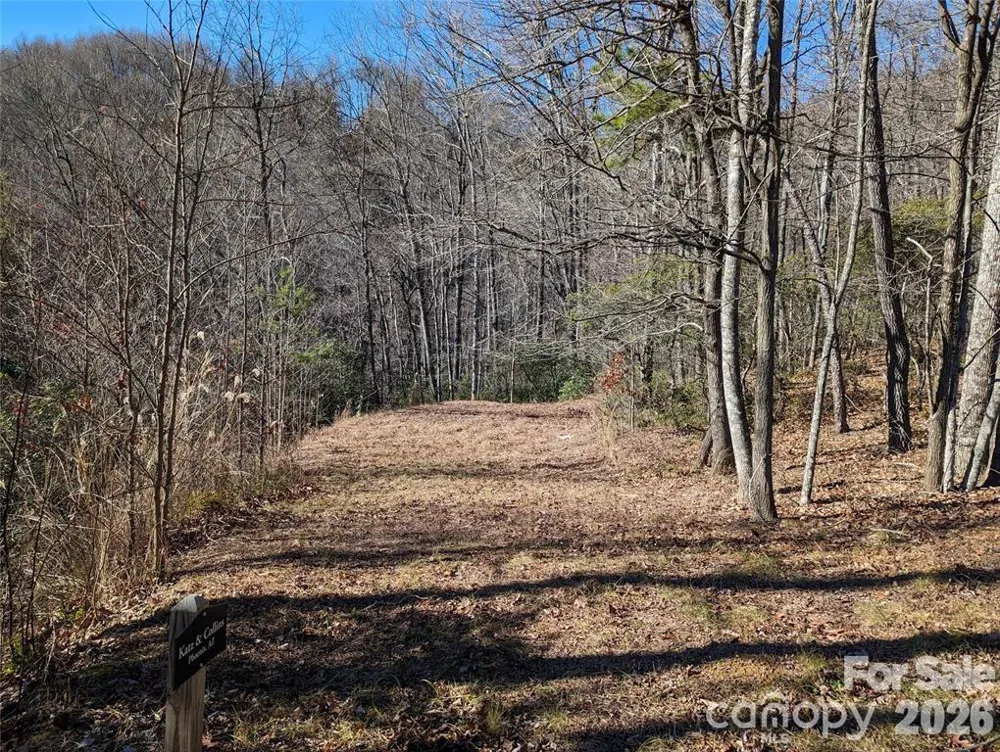 28 Trillium Lane #C-1 Black Mountain, NC 28711