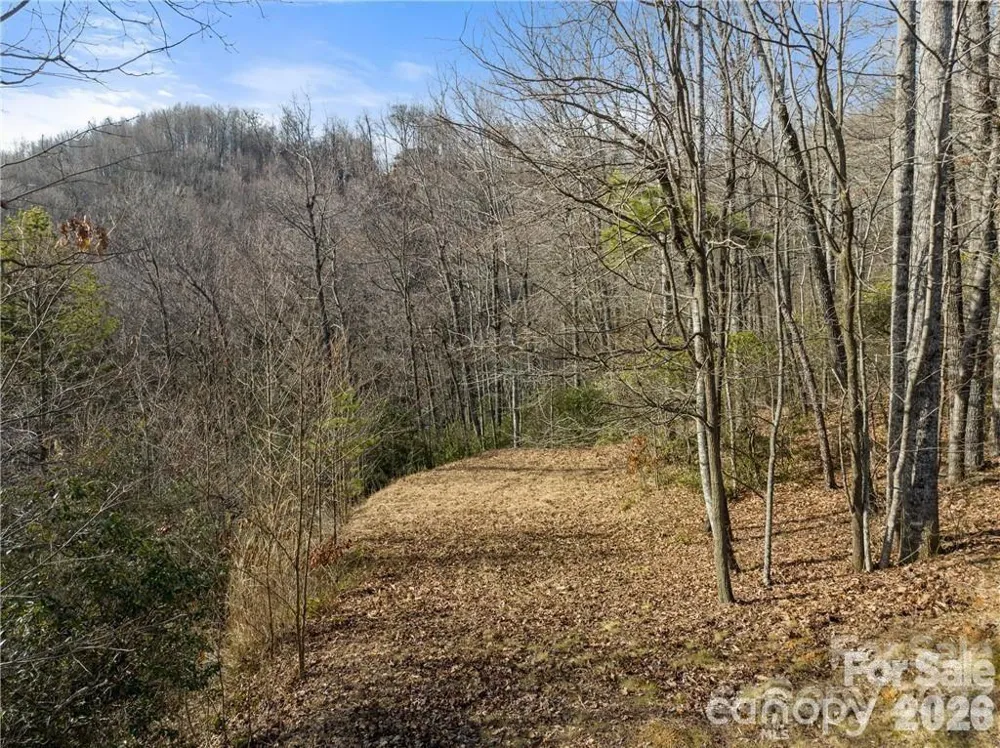 28 Trillium Lane #C-1 Black Mountain, NC 28711