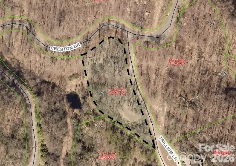 28 Trillium Lane #C-1 Black Mountain, NC 28711