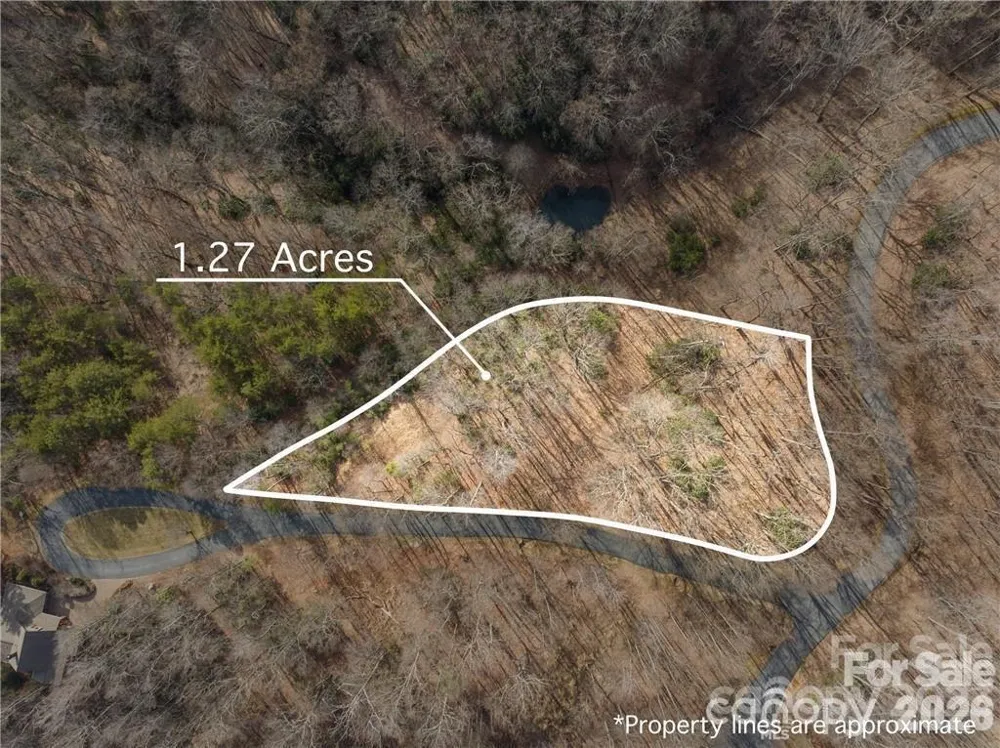 28 Trillium Lane #C-1 Black Mountain, NC 28711