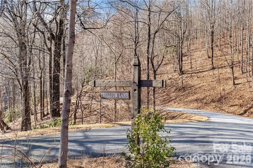 28 Trillium Lane #C-1 Black Mountain, NC 28711