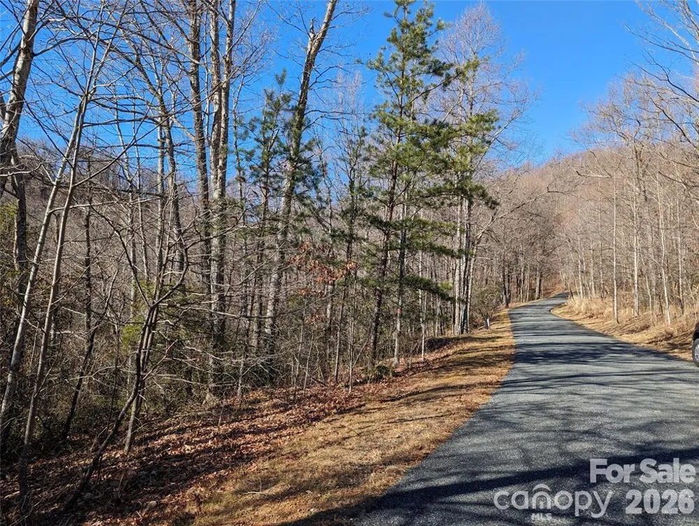 28 Trillium Lane #C-1 Black Mountain, NC 28711