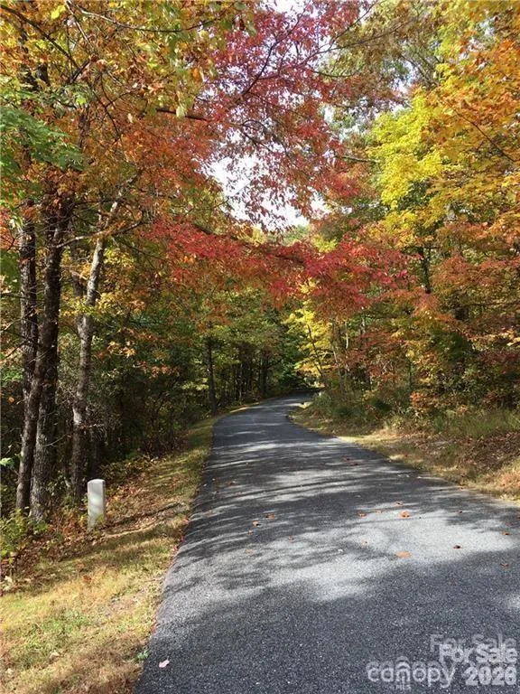 28 Trillium Lane #C-1 Black Mountain, NC 28711
