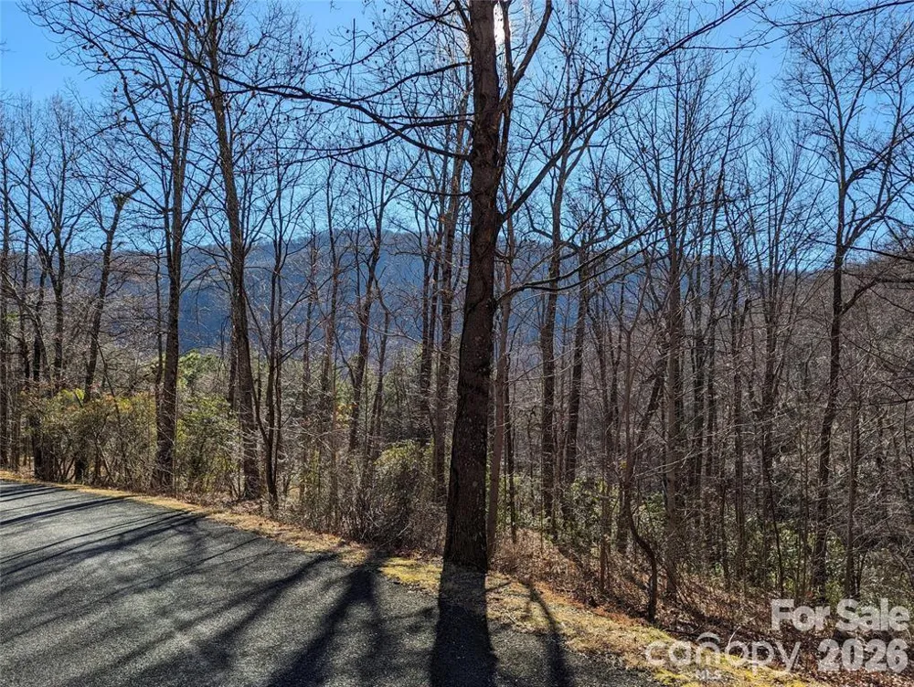 28 Trillium Lane #C-1 Black Mountain, NC 28711