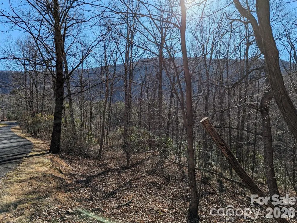 28 Trillium Lane #C-1 Black Mountain, NC 28711