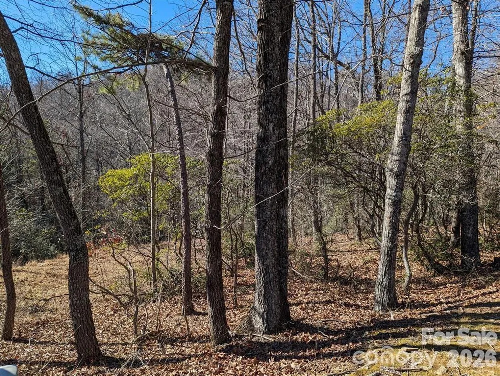 28 Trillium Lane #C-1 Black Mountain, NC 28711