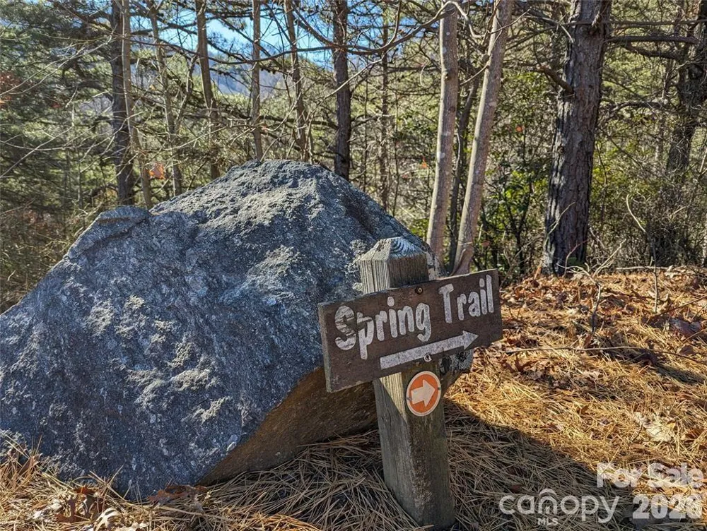 28 Trillium Lane #C-1 Black Mountain, NC 28711
