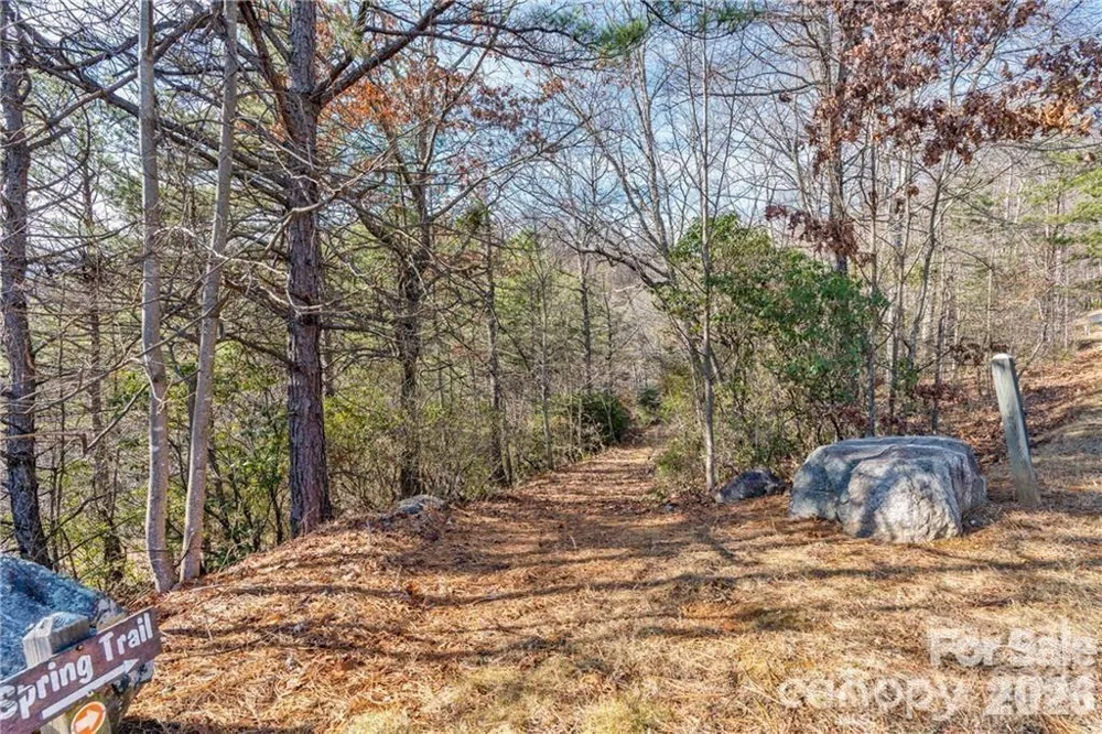 28 Trillium Lane #C-1 Black Mountain, NC 28711