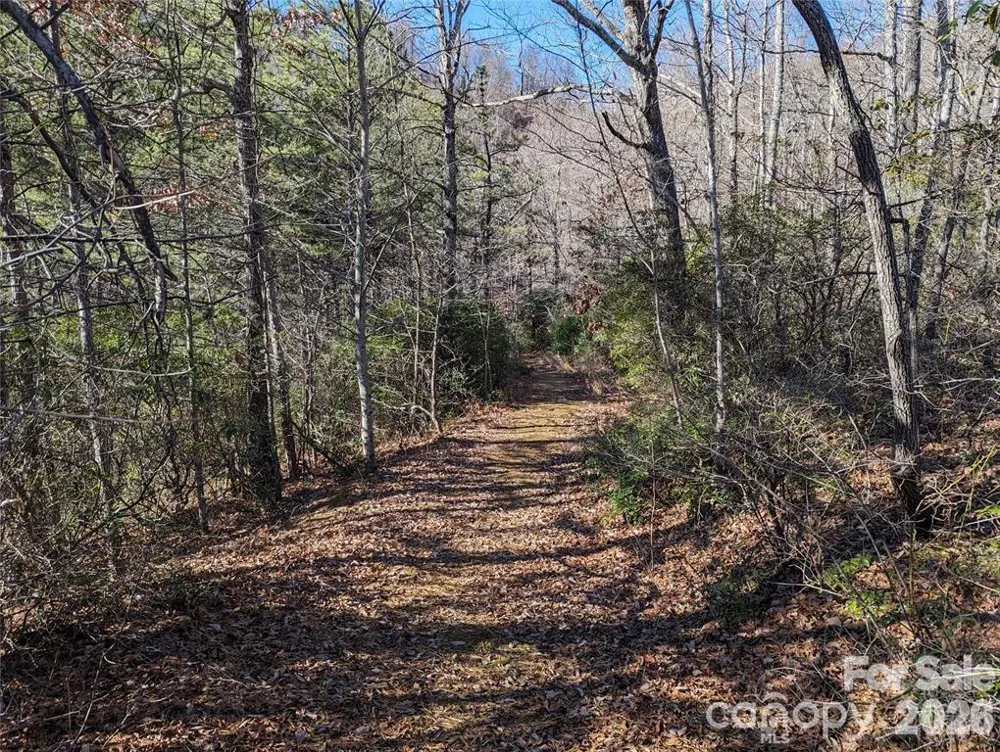 28 Trillium Lane #C-1 Black Mountain, NC 28711