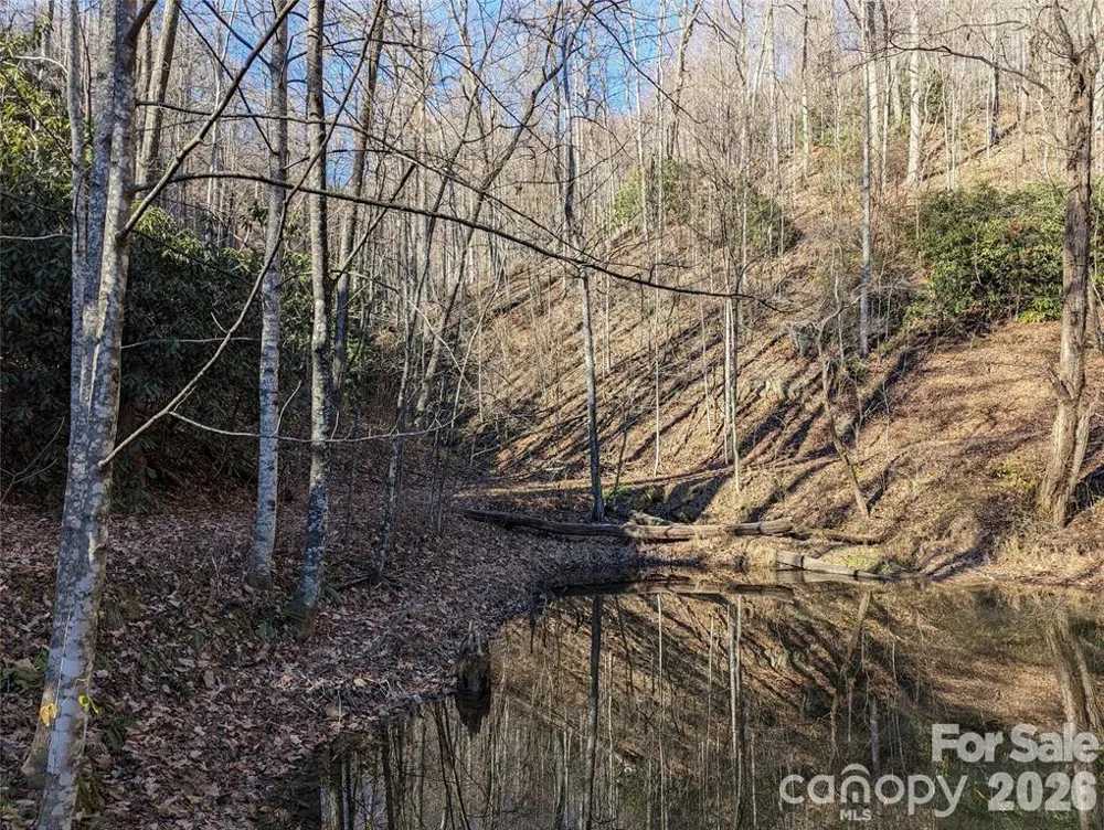 28 Trillium Lane #C-1 Black Mountain, NC 28711