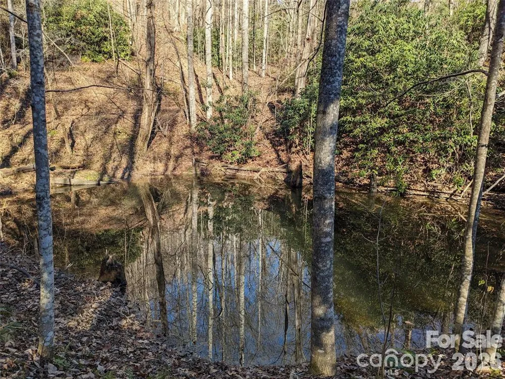 28 Trillium Lane #C-1 Black Mountain, NC 28711