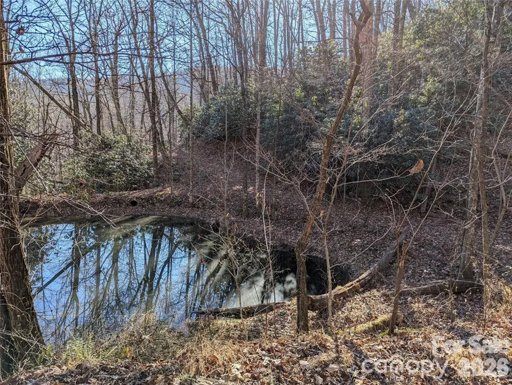 28 Trillium Lane #C-1 Black Mountain, NC 28711