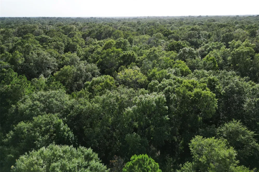 N Hwy 326 Kountze, TX 77625