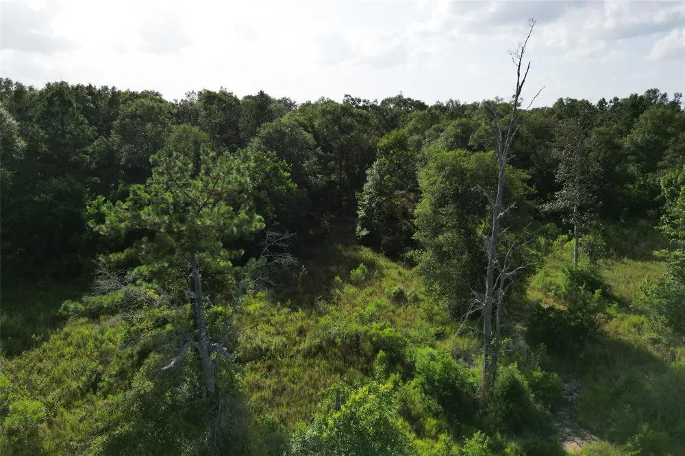N Hwy 326 Kountze, TX 77625