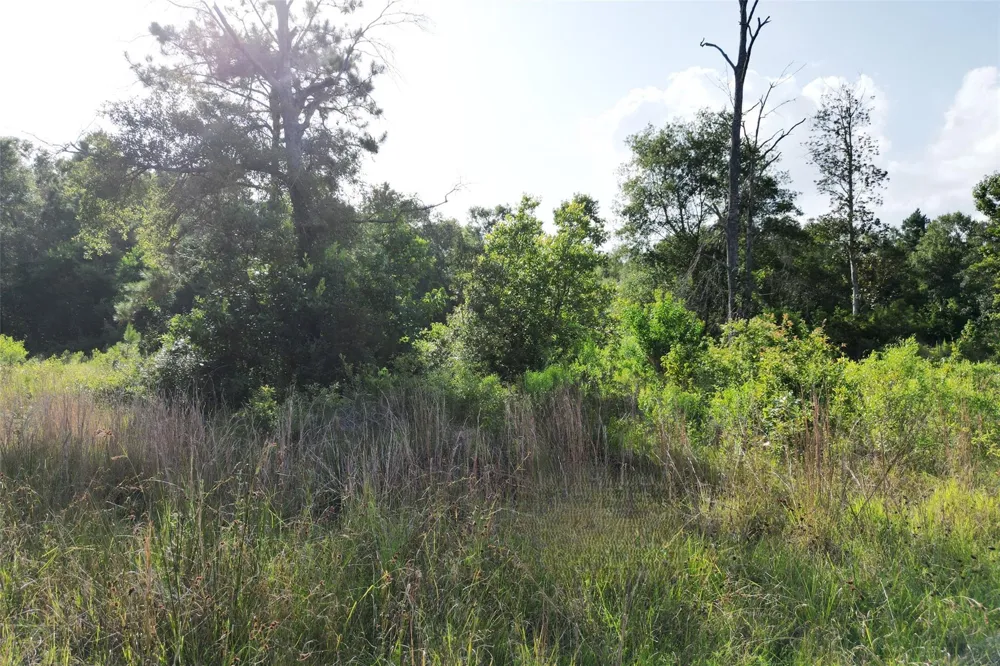 N Hwy 326 Kountze, TX 77625
