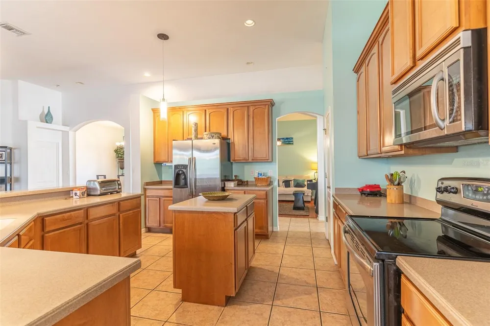 2539 CENTENNIAL FALCON DRIVE Valrico, FL 33596