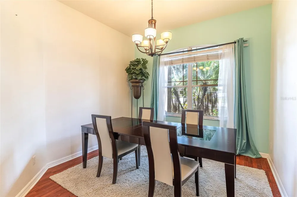 2539 CENTENNIAL FALCON DRIVE Valrico, FL 33596