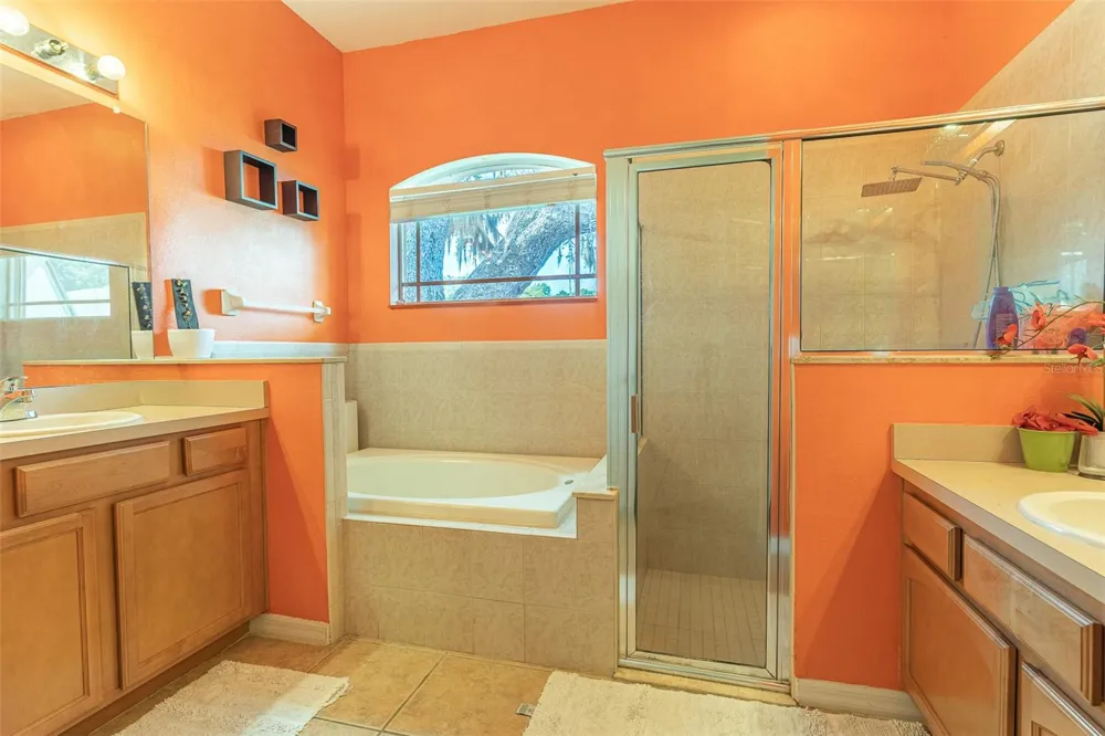 2539 CENTENNIAL FALCON DRIVE Valrico, FL 33596