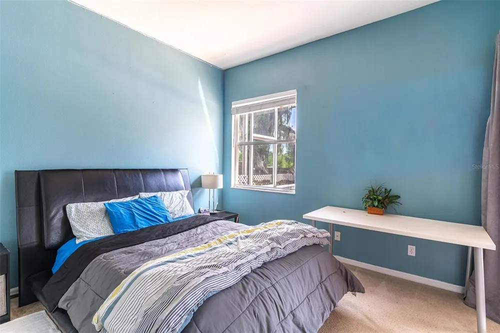 2539 CENTENNIAL FALCON DRIVE Valrico, FL 33596