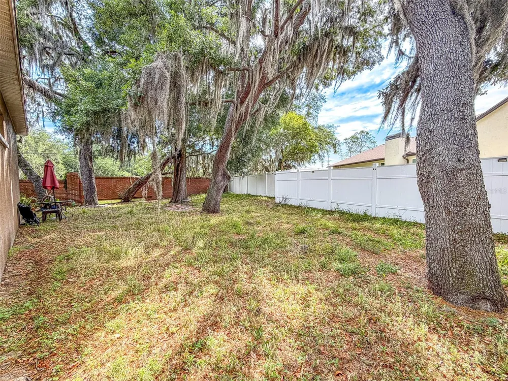2539 CENTENNIAL FALCON DRIVE Valrico, FL 33596