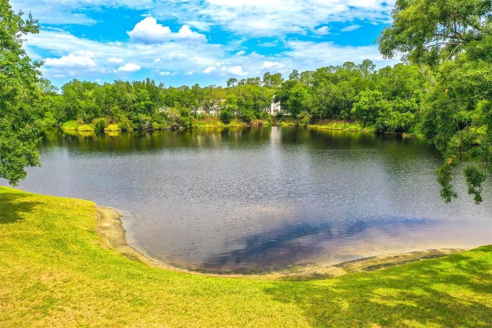 2539 CENTENNIAL FALCON DRIVE Valrico, FL 33596