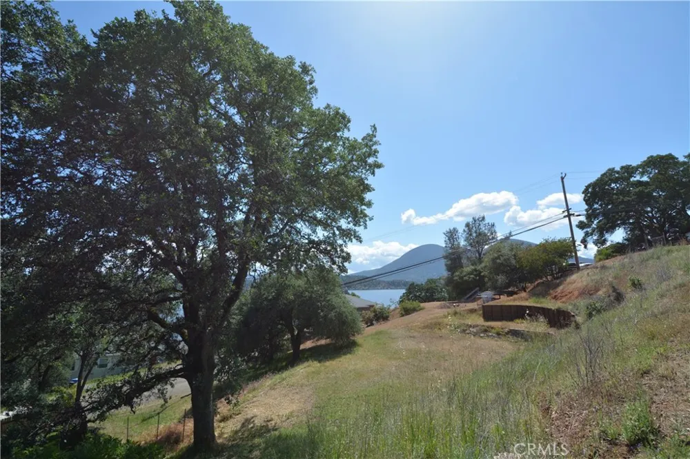 10417 Terrace Clearlake Oaks, CA 95423
