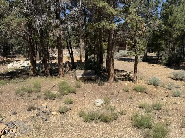 1099 Heritage Trail Big Bear, CA 92314