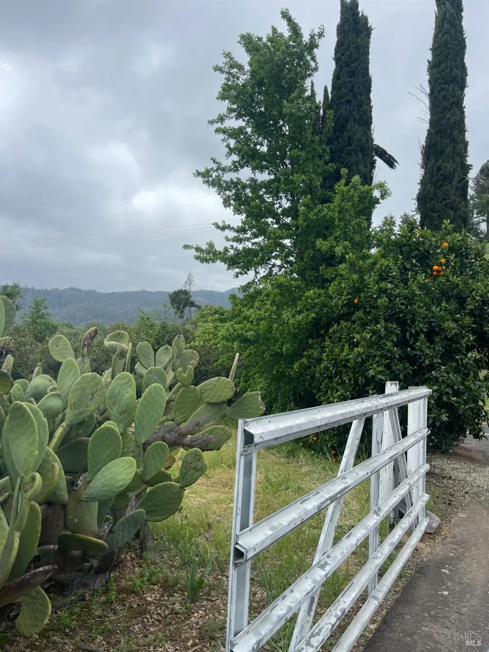 3500 Silverado Trail St. Helena, CA 94574