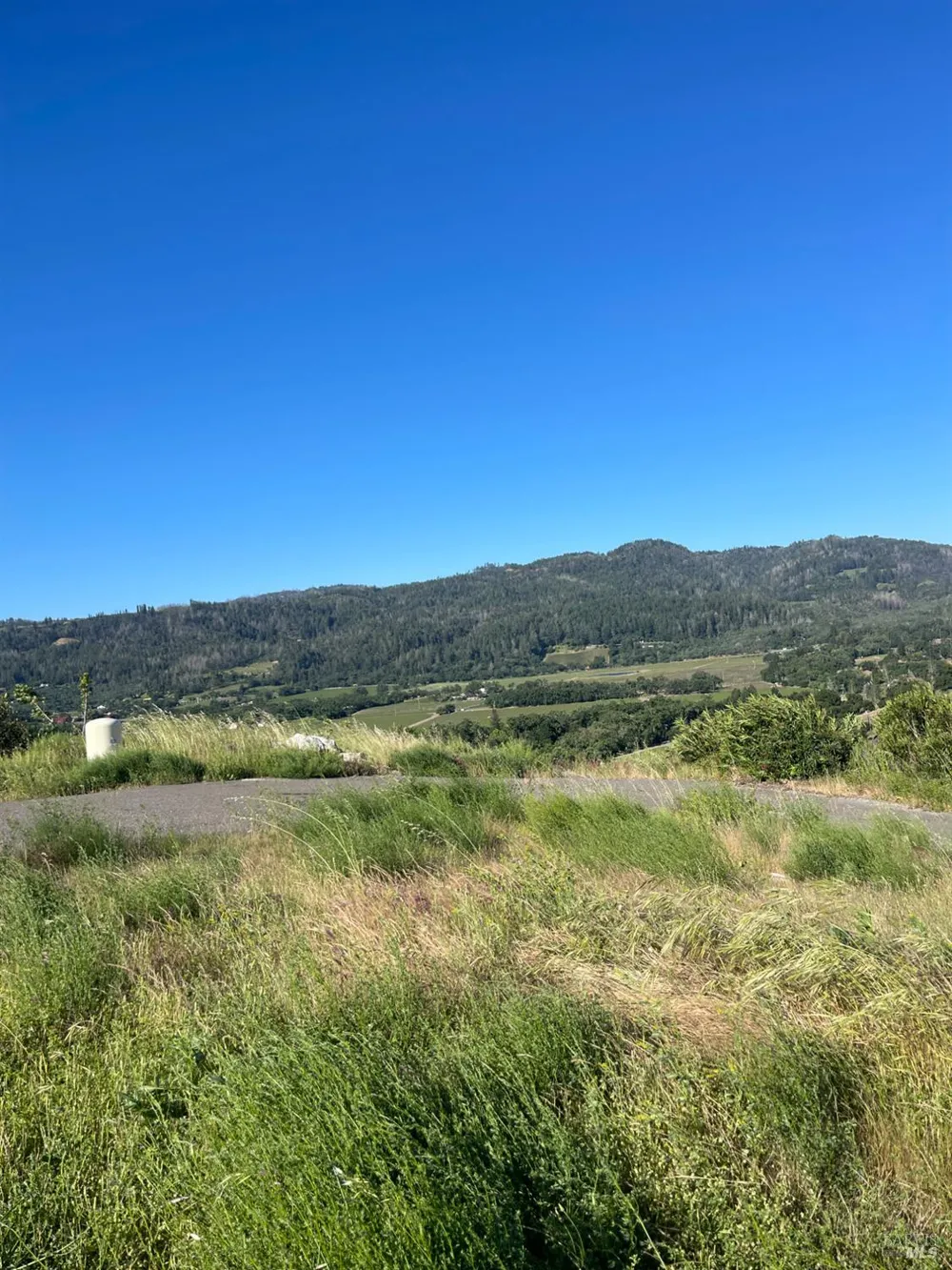 3500 Silverado Trail St. Helena, CA 94574