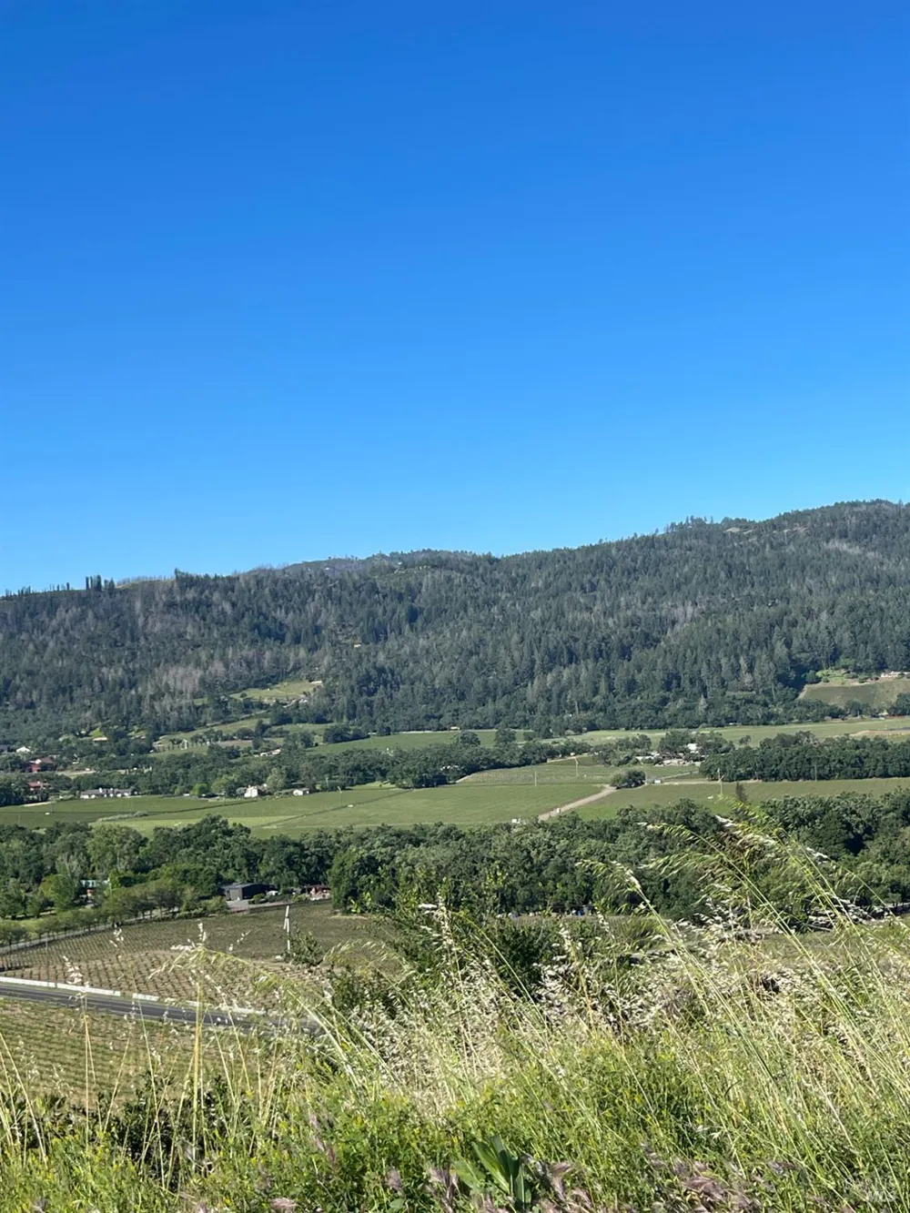 3500 Silverado Trail St. Helena, CA 94574