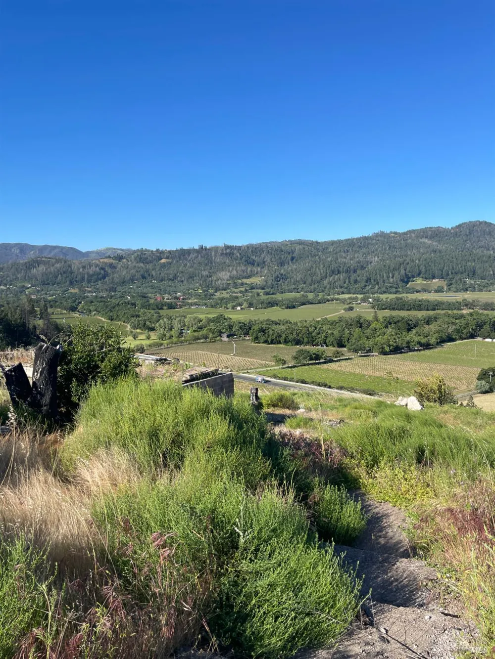 3500 Silverado Trail St. Helena, CA 94574