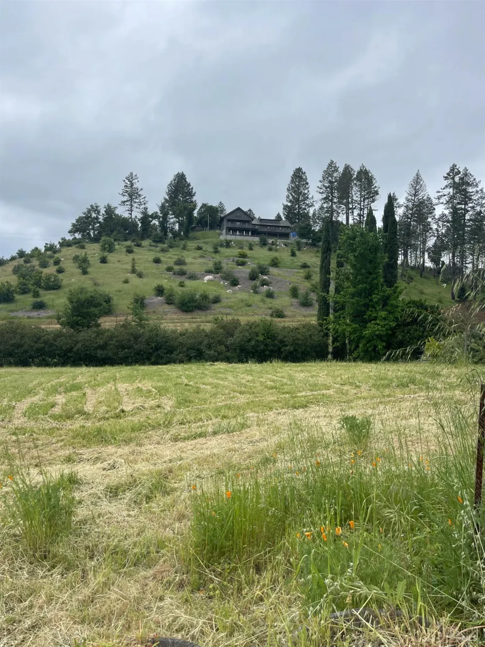 3500 Silverado Trail St. Helena, CA 94574
