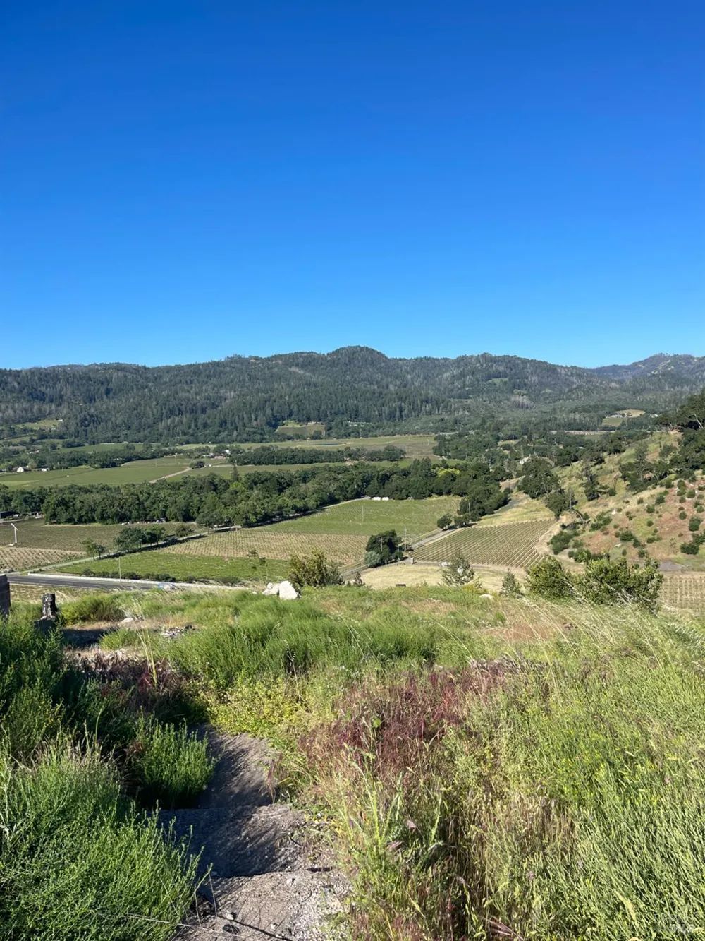3500 Silverado Trail St. Helena, CA 94574