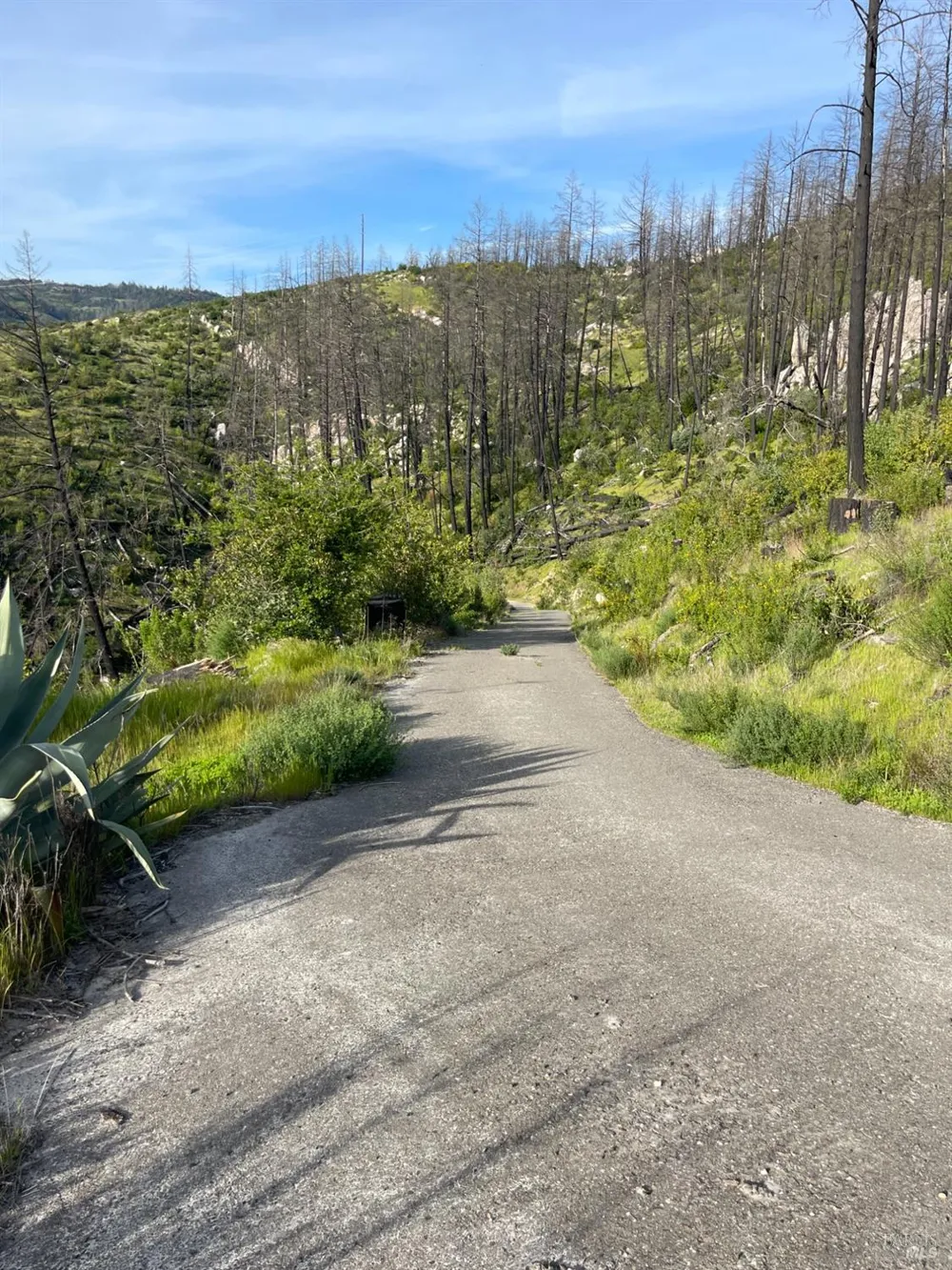 3500 Silverado Trail St. Helena, CA 94574
