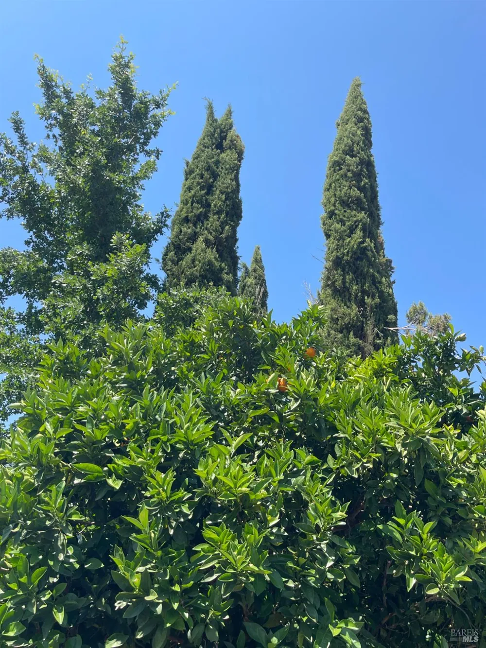3500 Silverado Trail St. Helena, CA 94574