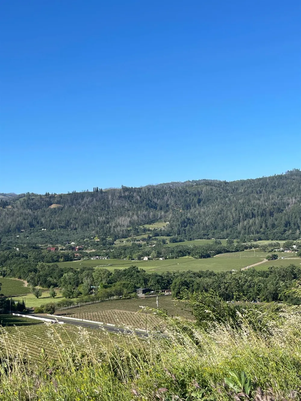 3500 Silverado Trail St. Helena, CA 94574